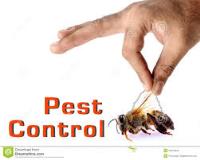 Garroway Pest Control image 1